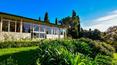 Toscana Immobiliare - Surrounded by greenery and tranquility, the property has 18 hectares of land with vineyards and olive groves and 3 hectares of Italian garden with a refined pool of 7m x 14m with showers, a classic fountain of 6m in diameter, old trees and a 400 sqm winte