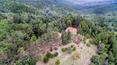 Toscana Immobiliare - Country house with land and outbuilding for sale in Arezzo, Tuscany