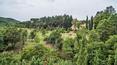 Toscana Immobiliare - Country house with land and outbuilding for sale in Arezzo, Tuscany