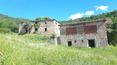 Toscana Immobiliare - Altes Anwesen mit ca. 116 Hektar Land in der Nähe von Florenz