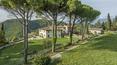 Toscana Immobiliare -