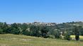 Toscana Immobiliare -