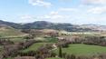 Toscana Immobiliare -